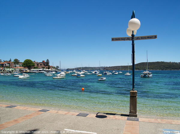 Manly Cabbage Tree Bay Picture Board by Stephen Hamer