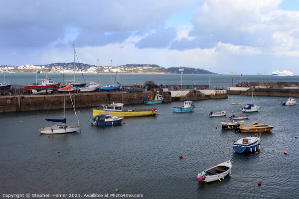 The Harbour Paignton Picture Board by Stephen Hamer