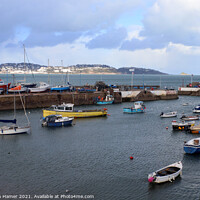 Buy canvas prints of The Harbour Paignton by Stephen Hamer