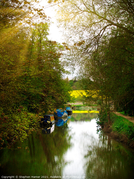 The River Stort Picture Board by Stephen Hamer