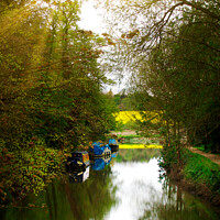 Buy canvas prints of The River Stort by Stephen Hamer