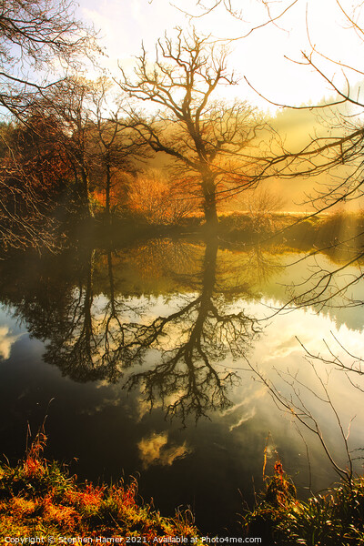 River Reflections Picture Board by Stephen Hamer