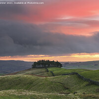 Buy canvas prints of Kirkcarrion Dawn Light, Teesdale, UK by David Forster