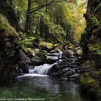 Buy canvas prints of Autumn Stream, Ariege, Pyrenees, France by David Forster