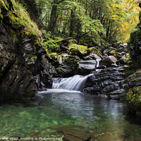 Buy canvas prints of Autumn Stream, Ariege, Pyrenees, France by David Forster