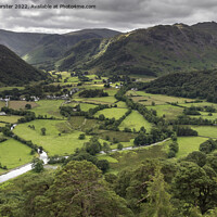 Buy canvas prints of The view from Castle Crag, Lake District, Cumbria, UK  by David Forster