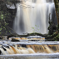 Buy canvas prints of Summerhill Force, Bowlees, Upper Teesdale, County Durham, UK by David Forster
