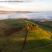 Buy canvas prints of Evening Light Kirkcarrion, Teesdale, UK  by David Forster