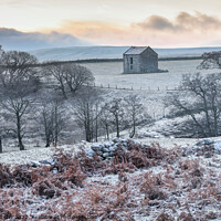 Buy canvas prints of Frosty Winter Morning in the North Pennines, Teesdale, UK by David Forster