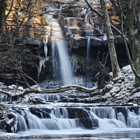 Buy canvas prints of Summerhill Force in Winter, Bowlees, Teesdale, County Durham, UK by David Forster