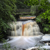 Buy canvas prints of Blackling Hole Waterfall, Hamsterley Forest, County Durham, UK by David Forster