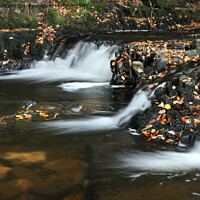 Buy canvas prints of Autumn Stream, Teesdale, County Durham by David Forster