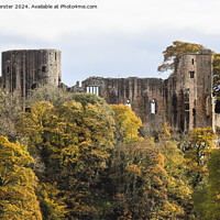 Buy canvas prints of The Historic Castle of Barnard Castle in Autumn, C by David Forster