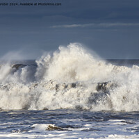 Buy canvas prints of Stormy seas in the wake of Storm Henk, Seaham, Cou by David Forster