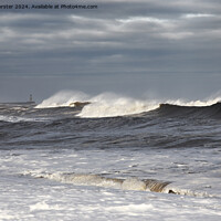 Buy canvas prints of Stormy Seas, Seaham, County Durham, UK by David Forster