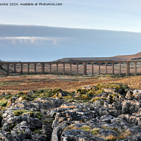 Buy canvas prints of The Ribblehead, Viaduct from Runscar Scar, Yorkshire Dales, UK by David Forster