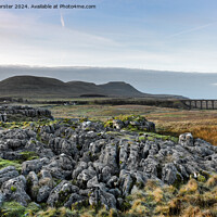 Buy canvas prints of The Ribblehead Viaduct and Ingleborough, Yorkshire by David Forster