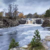 Buy canvas prints of Autumn Colour, Low Force Waterfall Upper Teesdale by David Forster