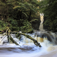 Buy canvas prints of Catrigg Force Waterfall in Early Autumn Yorkshire  by David Forster