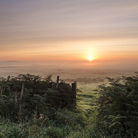 Buy canvas prints of Misty Moorland Sunrise Teesdale County Durham  by David Forster