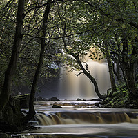 Buy canvas prints of Mystical Stream, Summerhill Force, Bowlees, Upper, by David Forster
