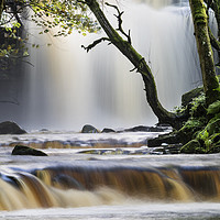 Buy canvas prints of Summerhill Force, Bowlees, Teesdale, County Durham by David Forster