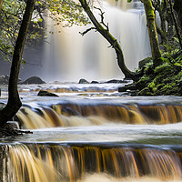 Buy canvas prints of Summerhill Force, Bowlees, Teesdale, County Durham by David Forster