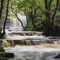 Buy canvas prints of Summerhill Force, Bowlees, Teesdale, County Durham by David Forster
