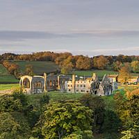 Buy canvas prints of Autumn Light Egglestone Abbey by David Forster