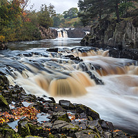 Buy canvas prints of Autumn Colours, River Tees, Low Force, Teesdale by David Forster