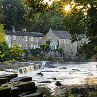Buy canvas prints of Early Autumn Sun on the River Tees, Barnard Castle by David Forster