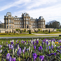 Buy canvas prints of Spring Flowers Bowes Museum, Barnard Castle by David Forster