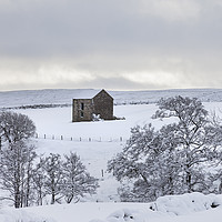 Buy canvas prints of Traditional Dales Barn in Snow, Upper Teesdale,  by David Forster