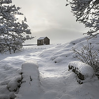 Buy canvas prints of North Pennine Winter Wonderland by David Forster