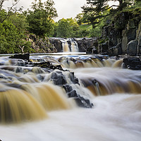 Buy canvas prints of The River Tees at Low Force, Upper Teesdale. by David Forster