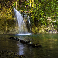 Buy canvas prints of Woodland Waterfall by David Forster