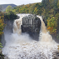 Buy canvas prints of High Force Autumn by David Forster