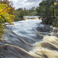 Buy canvas prints of Low Force Autumn Flood by David Forster