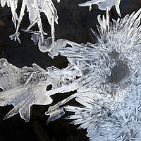 Buy canvas prints of River Ice Crystals  by David Forster