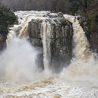 Buy canvas prints of High Force in Flood  by David Forster