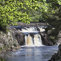 Buy canvas prints of Low Force from the Pennine Way, Teesdale, County D by David Forster