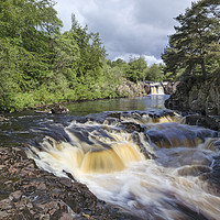 Buy canvas prints of Low Force, Teesdale, County Durham, UK by David Forster