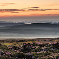 Buy canvas prints of Misty Moorland Dawn  by David Forster