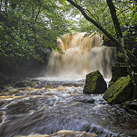 Buy canvas prints of Summerhill Force, Bowlees, Teesdale, County Durham by David Forster