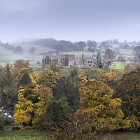 Buy canvas prints of Autumn, Egglestone Abbey, Teesdale, County Durham by David Forster