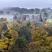 Buy canvas prints of Autumn Colours Egglestone Abbey, Barnard Castle, T by David Forster