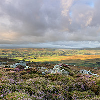 Buy canvas prints of North Pennine Light, Teesdale, County Durham, UK. by David Forster