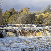 Buy canvas prints of The River Tees at Low Force in Flood Conditions, T by David Forster
