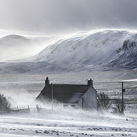 Buy canvas prints of Wild Winter Storm, Upper Teesdale, County Durham,  by David Forster