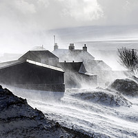 Buy canvas prints of North Pennine Farmstead Blizzard, Upper Teesdale,  by David Forster